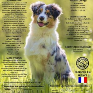 JUNIOR ET ADULTE  20KG<br> 29/18 ACTIVE